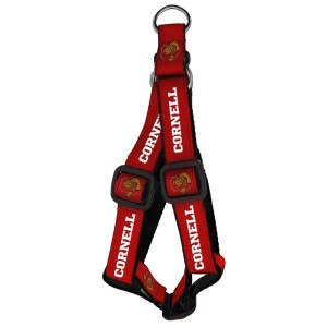 Cornell University Pet Harness
