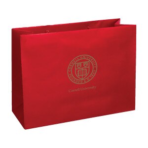Cornell Seal Matte Gift Tote 16 Inc