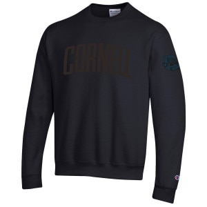 Cornell Felt Letter C with Bear