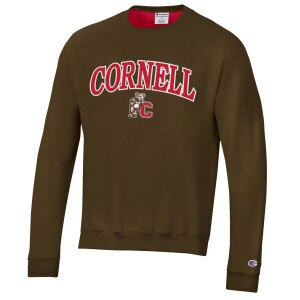 Champion Bear Leaning on C Applique