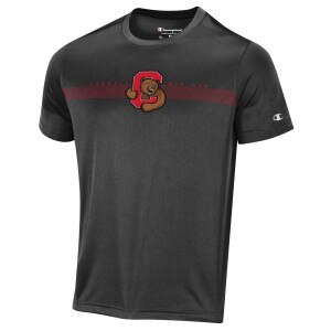 Champion Bear Through C Patterned